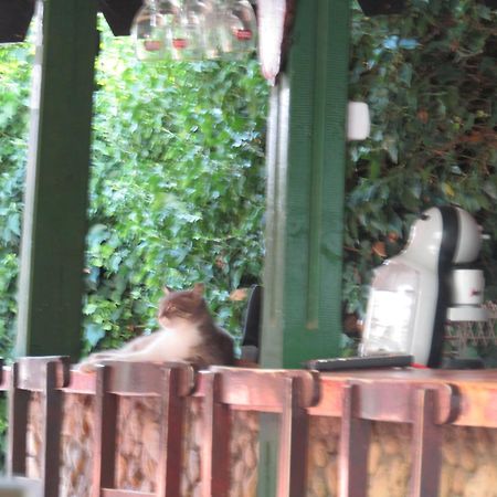 Hostel Papagal Varna ภายนอก รูปภาพ