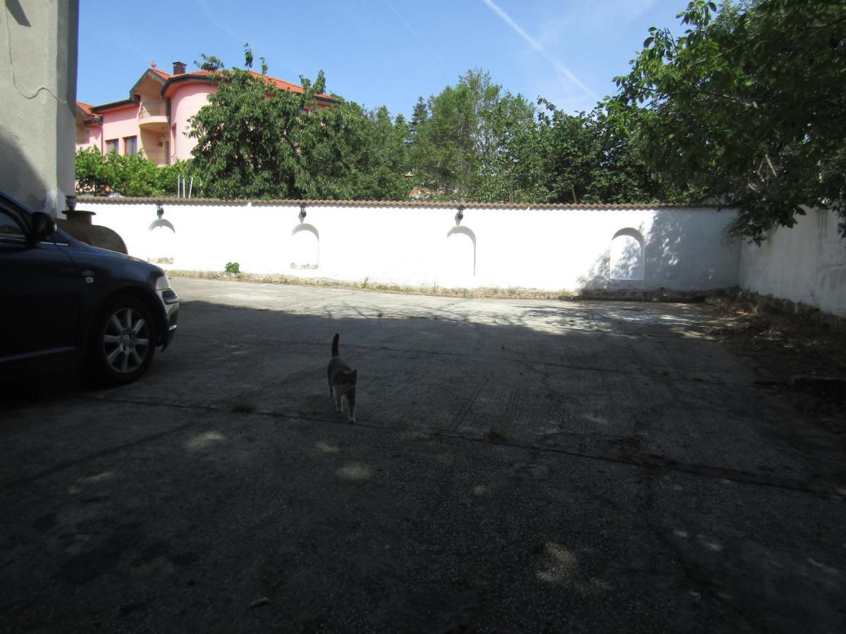 Hostel Papagal Varna ภายนอก รูปภาพ